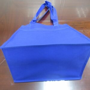 PP Non-Woven Bag with Triangle Sides