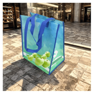 PP Non-Woven Bag with Triangle Sides