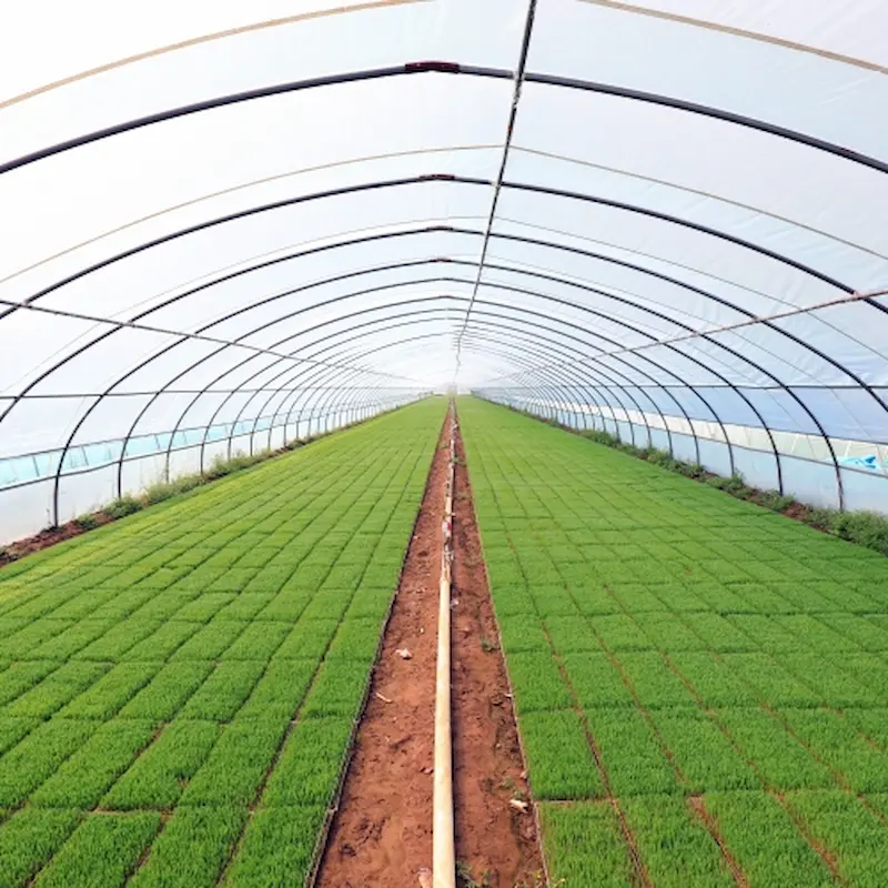 uv-resistant-greenhouse-film