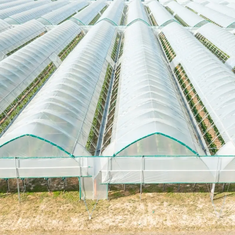 uv-resistant-greenhouse-film