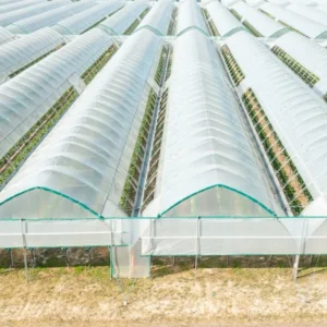 wholesale-greenhouse-plastic-film-vietnam